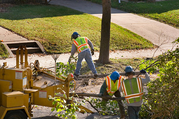 Best Tree Planting Services  in Fox Lake, WI